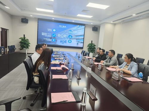 電 亮 京 招 電子與電氣工程學(xué)院赴京東方科技集團(tuán)訪(fǎng)企拓崗